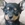 Minyatür Pinscher
