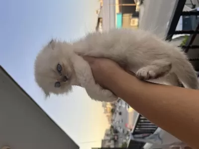 Sağlıklı Minik Yavrum