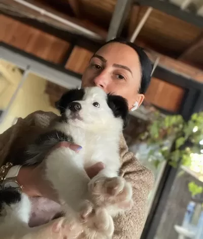 Border Colie Yavrularım Sağlık Ve Irk Garantilidir