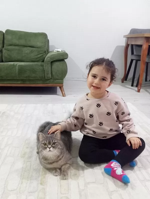 Safkan British Dişi Kedimiz