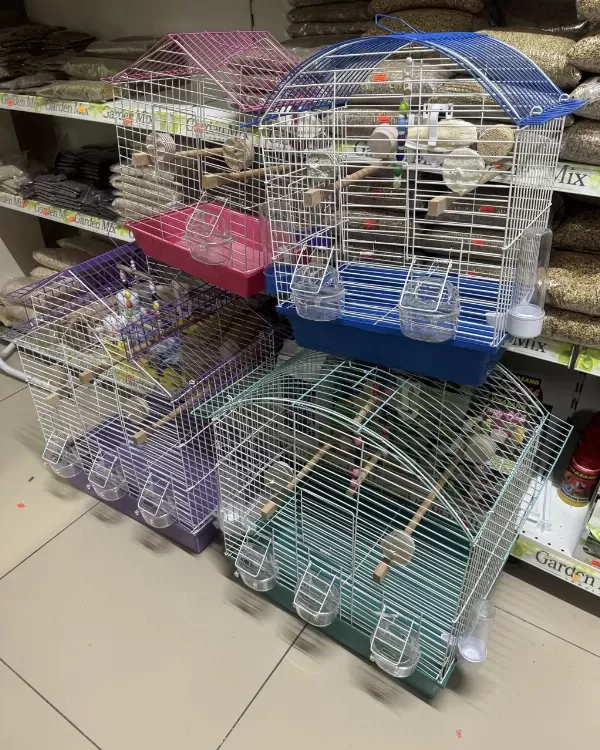 El Besleme Yavru Cennet Ve Sevda Yavrular