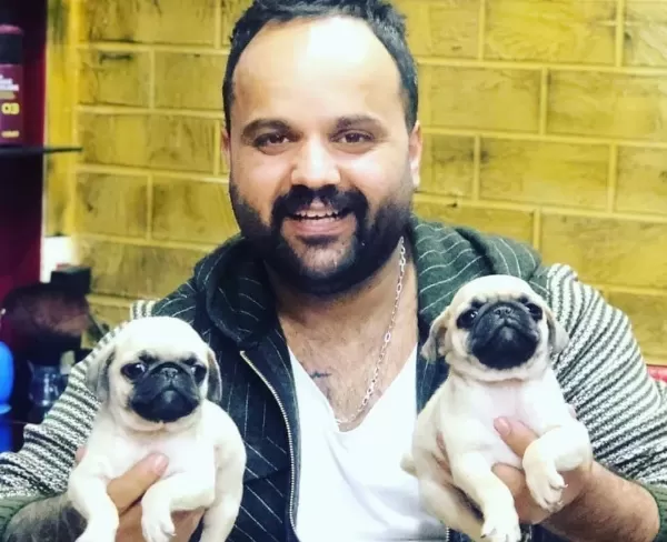 Orijinal Safkan Pug Yavrularımız Mevcut