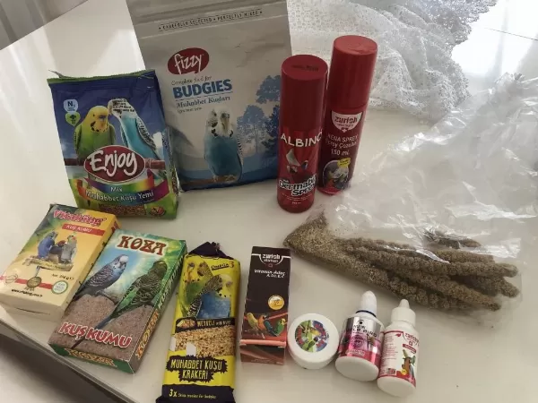 Eşyalariyla Erkek Muhabbet Kuşu