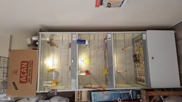Kafes Sağlam Pvc Temiz 3 Lü Alta Dolaplık Yeri Var