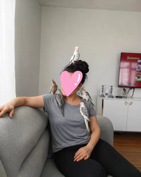 Sultan Papağanı 34 Günlük