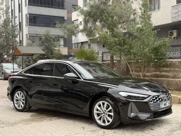 Full Artı Full Evcil Konuşan Jako Papağanı