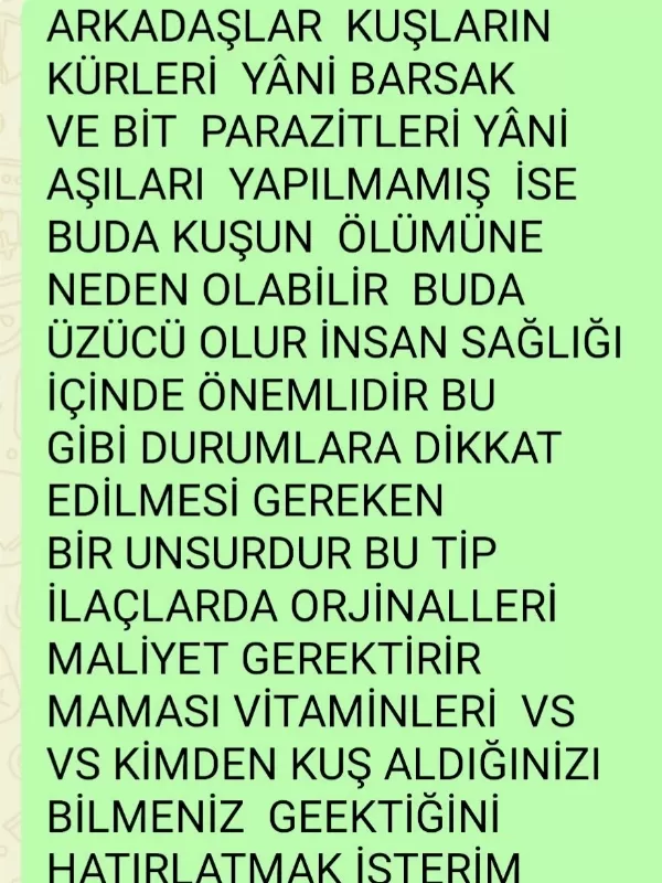 Muhabbet Kuşumuz İçin Açiklamalari Okuyunuz