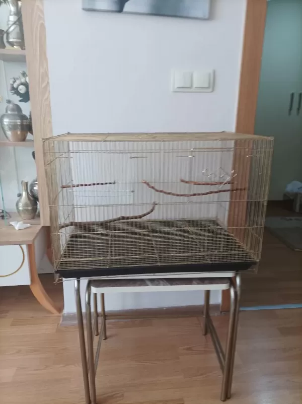 Çeşitli Kafesler Takas Olur
