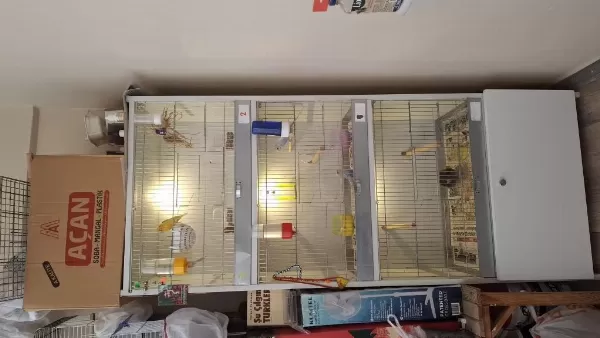 Kafes Sağlam Pvc Temiz 3 Lü Alta Dolaplık Yeri Var
